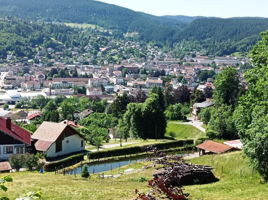 Chalet De Standing 14 Personnes Gérardmer Zewnętrze zdjęcie